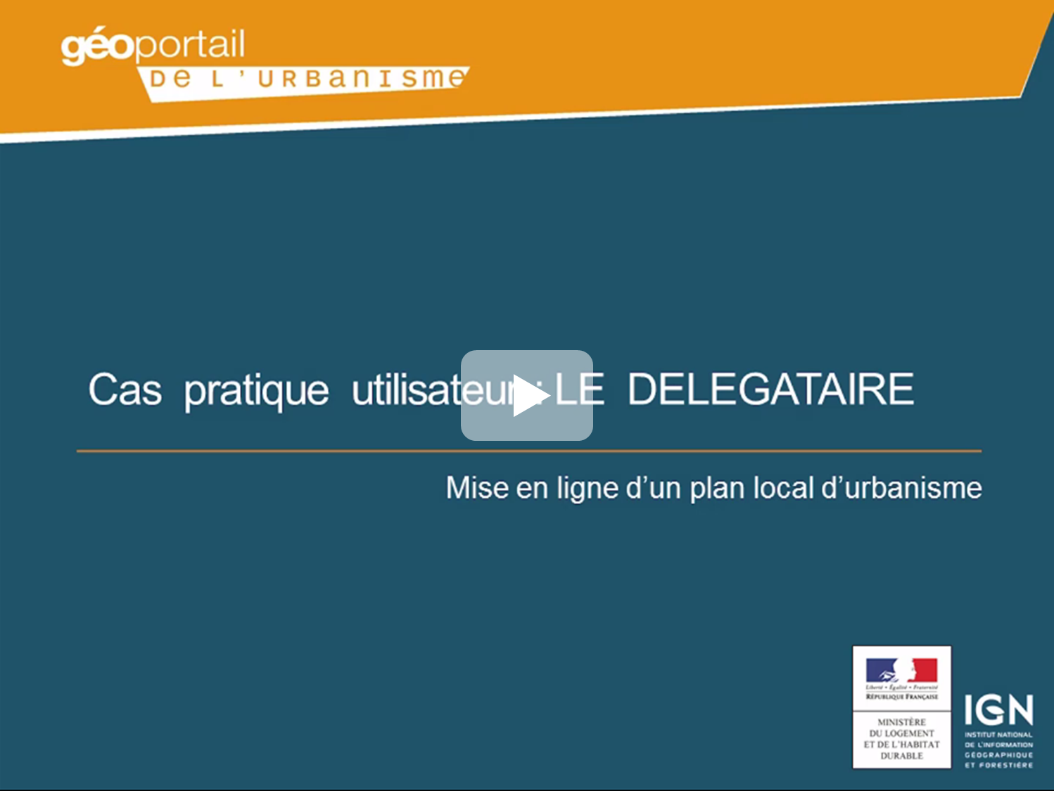 video_delegataire